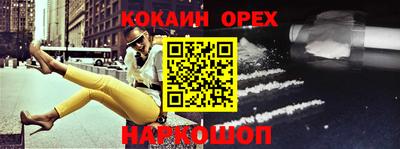 крисы Кингисепп
