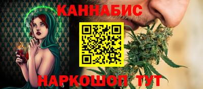крисы Кингисепп