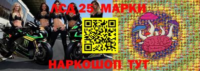крисы Кингисепп