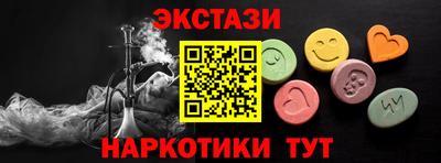 крисы Кингисепп