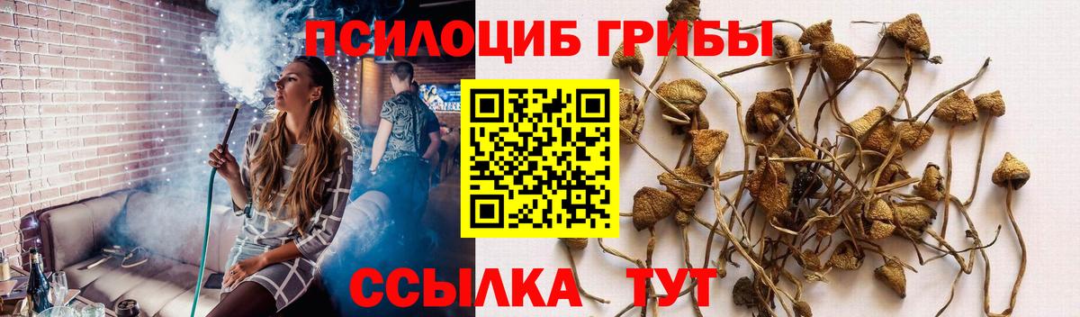 Галлюциногенные грибы Psilocybine cubensis  Вход с VPN  Старый Оскол 